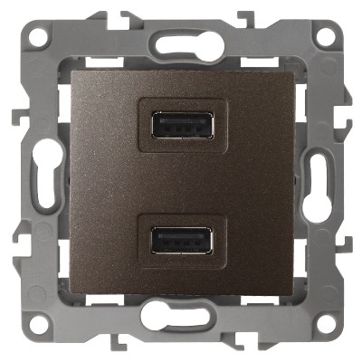 Розетка USB Эра 12-4110-13 Б0027498