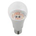 Фитолампа для растений светодиодная ЭРА E27 12W 1310K FITO-12W-RB-E27-K Б0039070