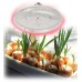 Фитолампа для растений светодиодная ЭРА E27 18W 2370K FITO-18W-RB-E27 Б0049533