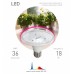 Фитолампа для растений светодиодная ЭРА E27 18W 2370K FITO-18W-RB-E27 Б0049533