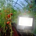 Фитопрожектор для растений ЭРА FITO-50W-Ra90-LED Б0047875