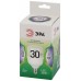 Лампа светодиодная Эра Green Line E27 30Вт 6500K LED POWER T70-30W-865-E27 GL