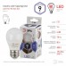 Лампа светодиодная Эра Стандарт E27 9Вт 6000K LED P45-9W-860-E27