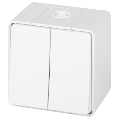 Переключатель двухклавишный Эра Эра Эксперт 11-1506-01