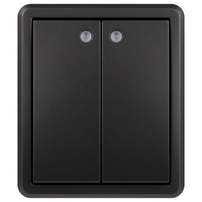 Выключатель двухклавишный с подсветкой Эра 11-1205-05