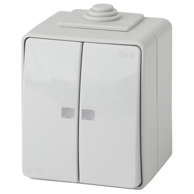 Выключатель двухклавишный с подсветкой Эра 11-1605-03