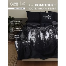 Комплект постельного белья Этель 2 сп Полярная ночь 175×215 см, 200×220 см, 50×70 см-2 шт., поплин 125 г/м², хлопок 100%