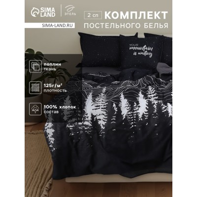 Комплект постельного белья Этель 2 сп Полярная ночь 175×215 см, 200×220 см, 50×70 см-2 шт., поплин 125 г/м², хлопок 100%