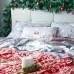 Постельное бельё Этель 1.5сп Snow time 143х215см,150х214см,50х70см-2 шт