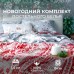 Постельное бельё Этель 1.5сп Snow time 143х215см,150х214см,50х70см-2 шт