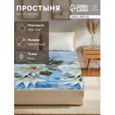 Простыня на резинке «Этель» 160х200х25 см