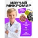 Микроскоп детский «Юный ботаник», кратность х100, х400, х1200, подсветка
