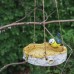 Подвесной декор из гипса «Кормушка с птичкой», 17×17×8 см