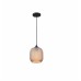 Подвесной светильник iLamp Rich 8105P BK-AM