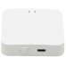 Беспроводной шлюз Tuya Zigbee iLedex Vision ZGB 1