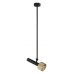 Светильник на штанге iLedex Technical Delta 2361-1 BK+BR