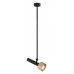 Светильник на штанге iLedex Technical Delta 2361-1 BK+BR