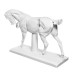 Гипсовая фигура анатомическая: ЛОШАДЬ (конь анатомический), 21 х 59 х 43 см