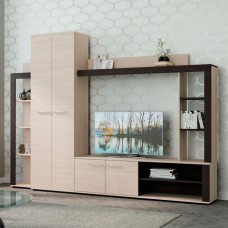 Гостиная Монако, 2500х350х1840, Ясень шимо светлый/Венге