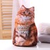 Игрушка антистресс «Котик»
