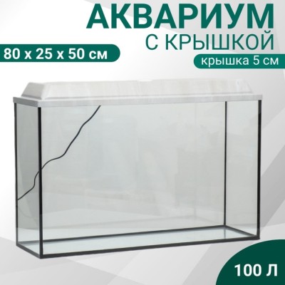 Аквариум Прямоугольный 