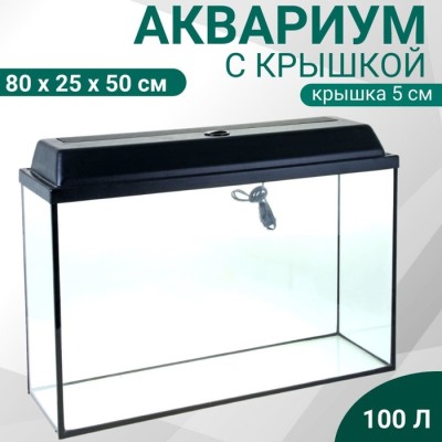 Аквариум Прямоугольный 