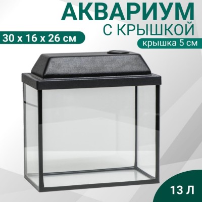 Аквариум Прямоугольный 