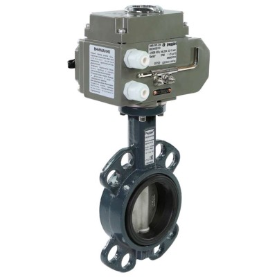 Затвор дисковый РИДАН PN16 DN250 чуг./EPDM/ЭП220В