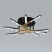 Потолочный светильник Arte Lamp Fernando A2199PL-5BK