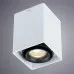 Потолочный светильник Arte Lamp A5655PL-1WH