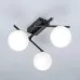 Настенно-потолочный светильник Citilux Dorsy CL223132
