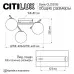 Настенно-потолочный светильник Citilux Dorsy CL223132