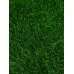 Газон искусственный, для спорта, ворс 40 мм, 1 × 2 м, зелёный, Greengo