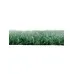 Газон искусственный, ворс 10 мм, 2 × 25 м, зелёный, Greengo