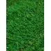 Газон искусственный, ворс 30 мм, 1 × 2 м, зелёный, Greengo