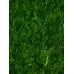Газон искусственный, ворс 30 мм, 2 × 10 м, зелёный, Greengo